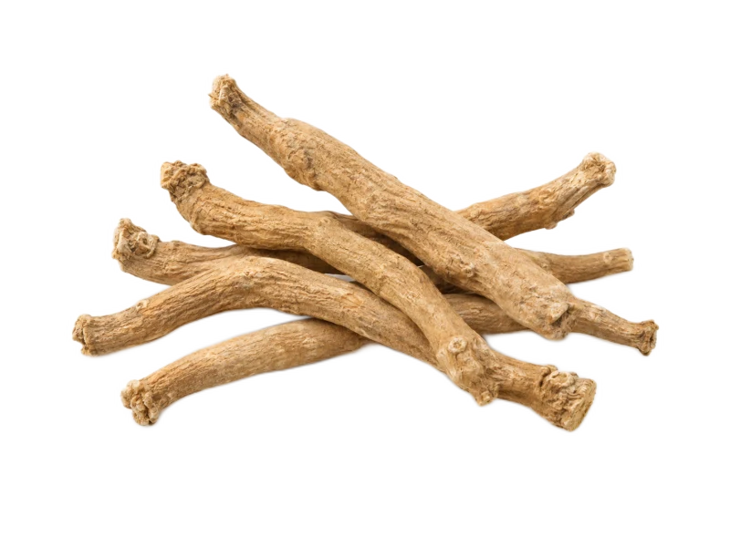 Representative ashwagandha illustration on a transparent background